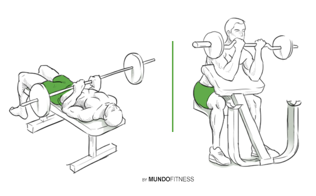 Ejercicios para fortalecer bíceps y triceps