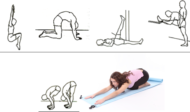 Estiramientos para la espalda y mejora de la elasticidad de tus isquiotibiales.