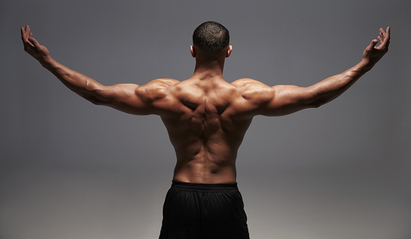 maximizar ejercicios de espalda
