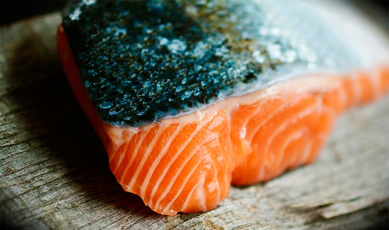 dieta-cetogenica-paso-a-paso-salmon-rico-en-proteinas