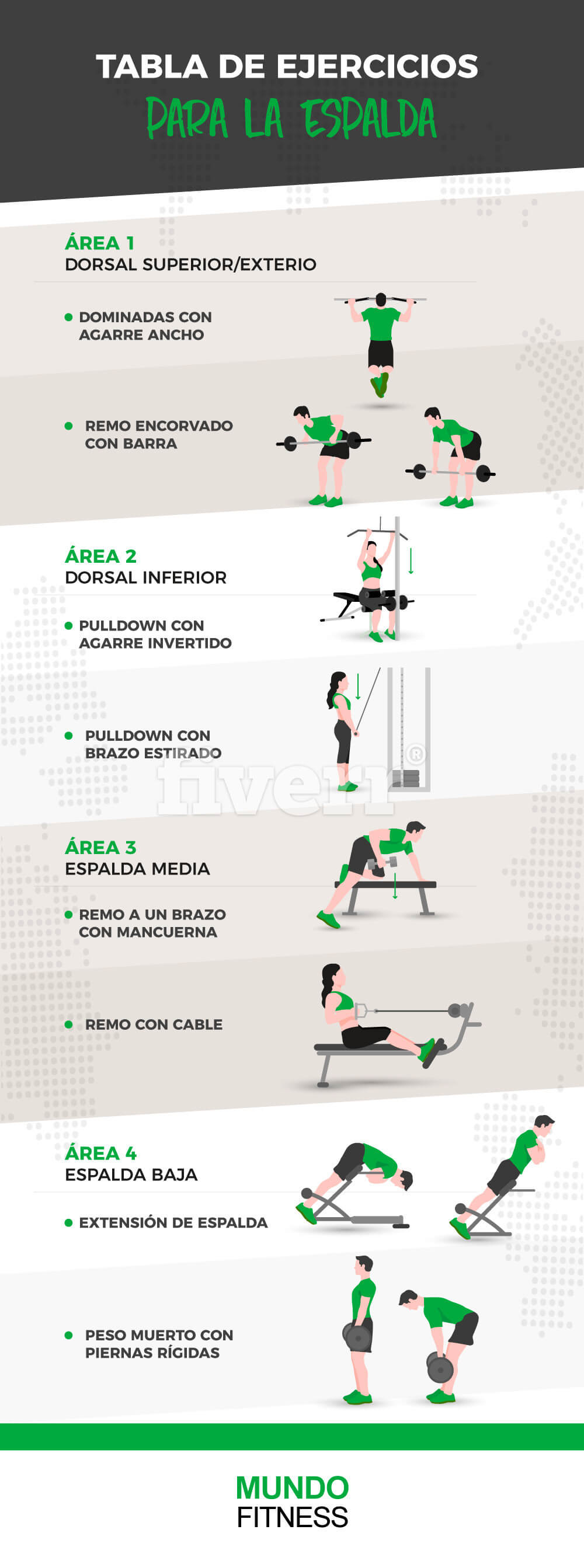 ▷ 5 mejores ejercicios espalda
