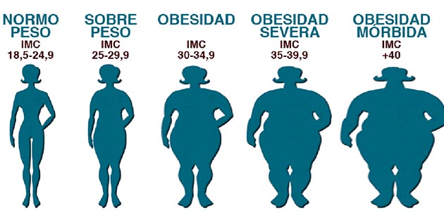 grados de obesidad
