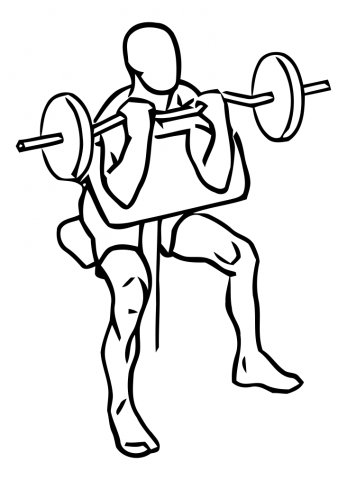 biceps banco scott